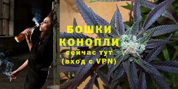 стафф Богданович