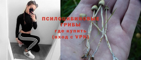 ALPHA PVP Богородицк