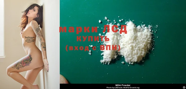 стафф Богданович