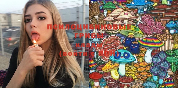 стафф Богданович