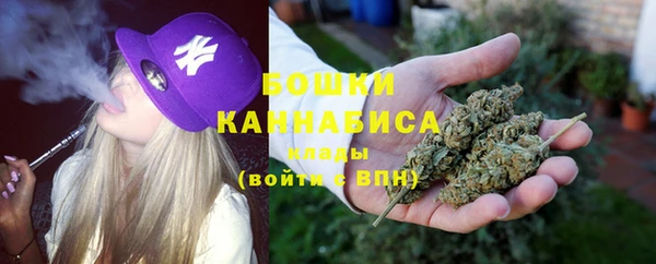 стафф Богданович